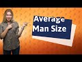 What is the average size of a man?