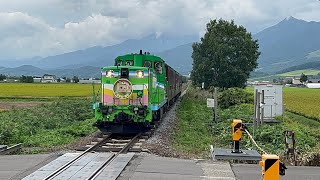 ［運行最終日］富良野線鹿討駅を通過する富良野美瑛ノロッコ2号