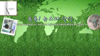 [톡톡] 미국의 총기 문화 - 2/20(화) 톡.../ YTN 라디오