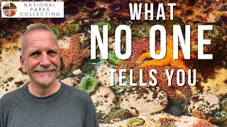 Tips for Visiting Olympic National Park: 12 Things To Know Before You Go