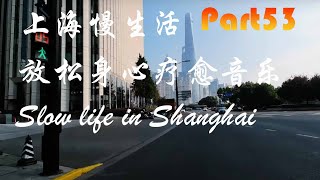 上海慢生活，放松身心疗愈音乐，Part53,Slow life in Shanghai,wonderful relaxing music,sleep music，beautiful flowers