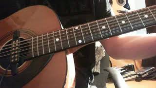 Eko navajo 12 strings in test