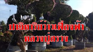 EP1262 ตอน ปาฏิหาริย์ว่าวเฟื่องฟ้าหลวงปู่สรวง