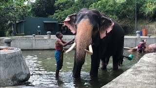 මිගාර සමග තායි අතරමගදි|Migara and thai raja walking on the road