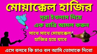 সূরা ইখলাস দিয়ে মোয়াক্কেল হাজির করুন। মাত্র এক রাত্রের আমল।#dibarati #jinn #মোয়াক্কেল