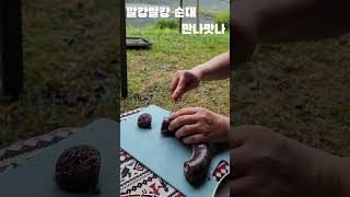 캠핑장에서 말캉말캉 마늘순대 만나맛나