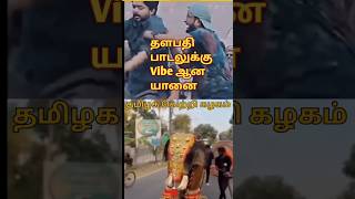 தளபதி பாடலுக்கு Vibe ஆன யானை #trending / #thalapathy / #master / #yanai / #vibe / #viralshorts / #vj