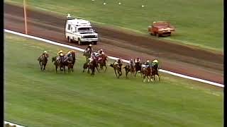 1984 Wakeful Stakes