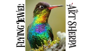 How to paint with Acrylic on Canvas A Hummingbird Close-up | TheArtSherpa