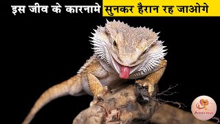 इस जीव की काबिलियत सुन हैरान हो जाओगे|Animals that can change their gender| Snakes