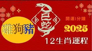 2025蛇年12生肖運程 (雞、狗、豬) ｜#2025屬雞運程 #2025屬狗運程 #2025屬豬運程  #開運1分鐘 #2025生肖運勢#肖雞2025#肖狗2025#肖豬2025 #cc中字#沖太歲