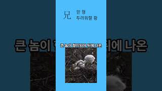 한자를 만든방법 그대로 배우기 형 兄의 깜짝놀랄 어원 최초공개  #smartphone #1급한자 #한국어 #KOREAN # 한자고급반