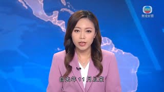 無綫香港新聞TVB News 本地海鮮進口商指內地對澳洲龍蝦需求大 或令不法商人走私牟利 | 澳門輕軌更換高壓電纜 下周三起暫停服務