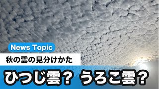 ひつじ雲・うろこ雲の見分けかた