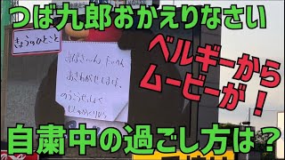 おかえりつば九郎！ベルギーからのムービーが！だれから？(2022年4月30日)