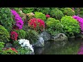 Free Flower Videos, Flowers Garden Stock Video Footage