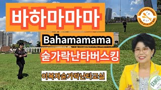 #BahamaMama#보니엠#바하마마마[이복자숟가락난타]#교육.공연.특강.자격증.지부문의010-3502-9538