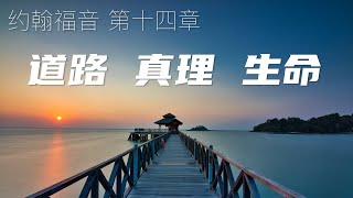 一起读圣经14-道路真理生命-约翰福音 第十四章