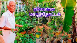 Terrace garden | இவரால் முடியுமென்றால் உங்களாலும் முடியும் 👍 #madithottam #gardening #gardenvlog