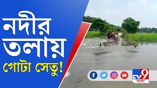 Islampur Bridge Video: It is raining in Islampur sub-division, Setuari river bridge under water