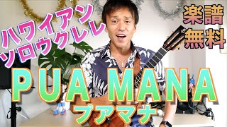 【Lesson・TAB譜付】PUA MANA（プアマナ）解説付き　講師：HOOK