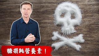 吃糖與碳水如何損耗營養素？全麥穀物可以吃嗎？柏格醫生 Dr Berg