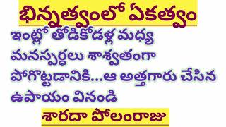 భిన్నత్వంలో ఏకత్వం/ శారదా పోలంరాజుగారు/ ఆలోచింపచేసే కథ/TELUGU AUDIO STORIES/TELUGU AUDIO NOVELS