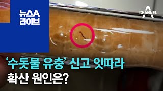 전국으로 퍼지는 ‘수돗물 유충’…원인은? | 뉴스A 라이브