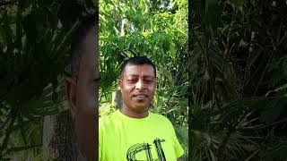 এই মুরুব্বী মুরুব্বী এই মুরুব্বী Robin vlogs #viralvideo #funny