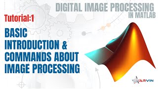 Tutorial: 1 》Basics About Digital Image Processing (DIP) in MATLAB | Image Processing Tutorials