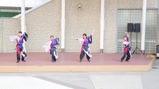 [4K] 舞心座 蒼　いずみよさこい祭り 2018