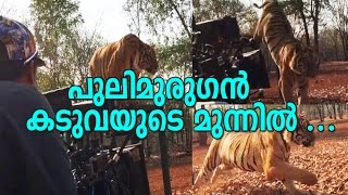 ‘പുലിമുരുകൻ’ കടുവയുടെ മുന്നിൽ ഭയമില്ലാതെ പീറ്റർ ഹെയ്ൻ | Mohanlal's Pulimurugan Making Video