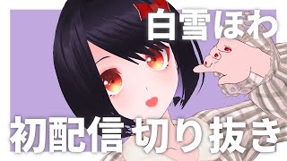 【自己紹介】2分半でわかる！白雪ほわ 初配信切り抜き【新人Vtuber】