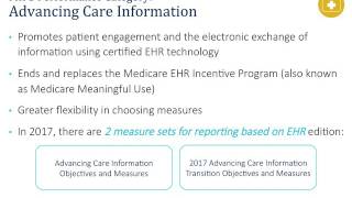 The Merit-based Incentive Payment System Performance Categories