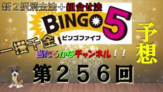 【ビンゴ5当たるかな予想】第256回の予想 ！！久々の予想動画！新２択消去法（一部３択）＋組合せ法！