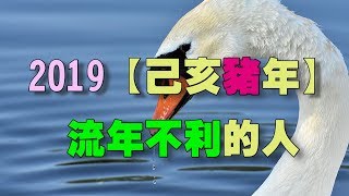 欣欣夫人紫微斗數 2019年 【己亥豬年】 流年不利的人