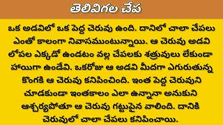 తెలివి గల చేప | moral Story | చేప ఉపాయం వేసి అందరి ప్రాణాలను కాపాడింది|