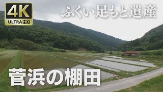 4K映像 ふくい足もと遺産「菅浜の棚田」