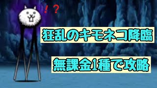 狂乱のキモネコ降臨 キモフェス 無課金1種で攻略【にゃんこ大戦争】