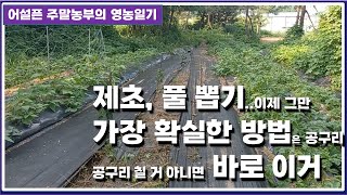 제초, 잡초제거, 풀뽑기 --- 확실한 방법은 이것 뿐!!!  제초매트