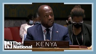 Kenyan ambassador's speech to the UN: 'Ukraine situation echoes our history'