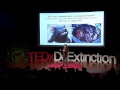 Hybridizing with extinct species: George Church at TEDxDeExtinction