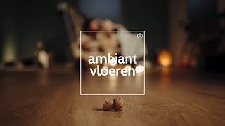 Brandvideo Ambiant vloeren