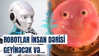 Alimlərin kəşfi dünyanı silkələdi | Bu robotlar necə istifadə olunacaq?