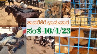 Thavarekere goat and sheep market|ತಾವರೆಕೆರೆ ಭಾನುವಾರ ಸಂತೆ|goat market near Bengaluru|animal market.