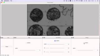 image viewer workflow