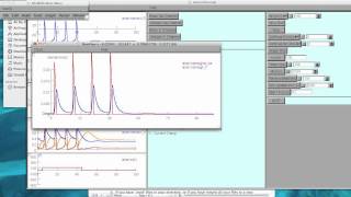 NEURON Action Potential Tutorial