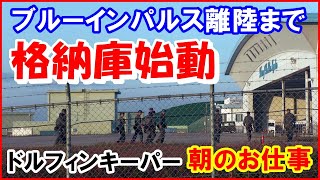 ブルーインパルス【格納庫始動】ドルフィンキーパーのお仕事｜松島基地 2023.11.1