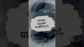 ബഷീറിൻ്റെ ജീവിതത്തിലെ ഏറ്റവും സന്തോഷകരമായ അനുഭവം?