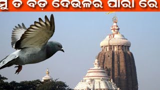 ମୁଁ ତ ବଡ଼ ଦେଉଳର ପାରା ରେ #odiabhajan